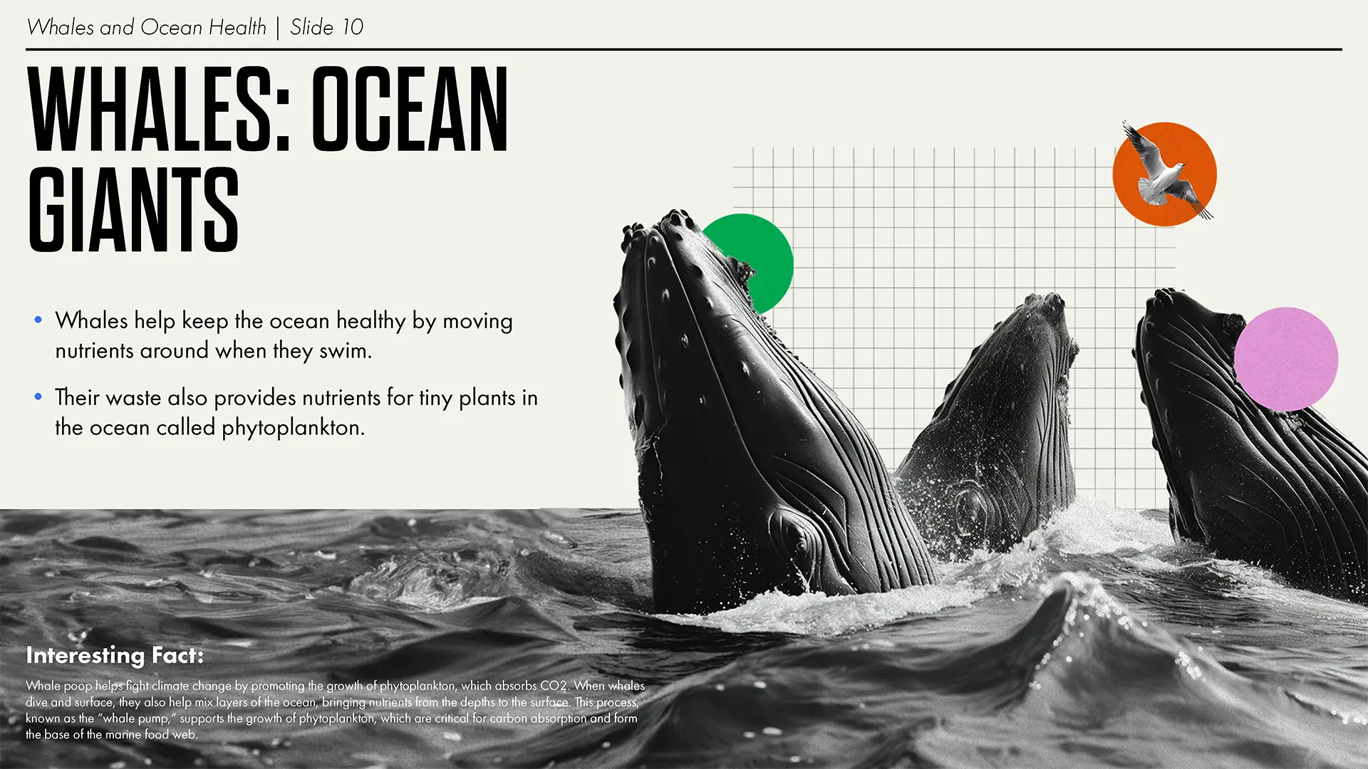Climate presentation slide 4